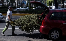 Cambia tú árbol de navidad por entradas #Gratis a Africam Safari