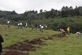 Jornada de reforestaci&oacute;n social
