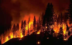 En caso de detectar un incendio comunicarse al tel&eacute;fono sin costo (01 800) 8 21 06 06