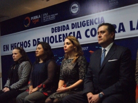 Temas de violencia contra las mujeres