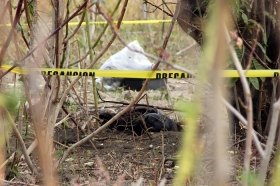 Se destacan en las diligencias, pruebas periciales y labores de campo para acreditar el il&iacute;cito
