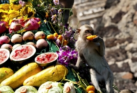 Festival Buffet para Monos: Tailandia #FestivalesDelMundo