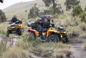 Fueron ubicados en el paraje Atash, en el municipio de San Luis Teolocholco.