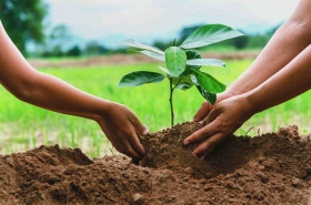 Día Internacional de la Madre Tierra, ​celebrado el 22 de abril.