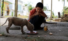 Sancionarán a toda persona que tire desperdicios de comida.