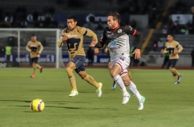 Aminone todo coraz&oacute;n con la jaur&iacute;a  