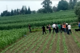 El cuerpo, encontraba boca abajo cerca de un terreno con plantaciones de maíz