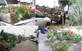 Irregularidades en el mercado de Tenango de las Flores 