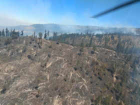 Controla SMADSOT cuatro incendios forestales