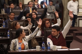 Tremendas discusiones en el pleno ocasionó determinación 